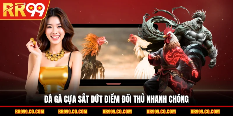Đá gà cựa sắt dứt điểm đối thủ nhanh chóng