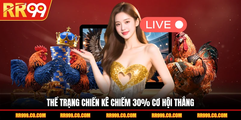 Thể trạng chiến kê chiếm 30% cơ hội thắng
